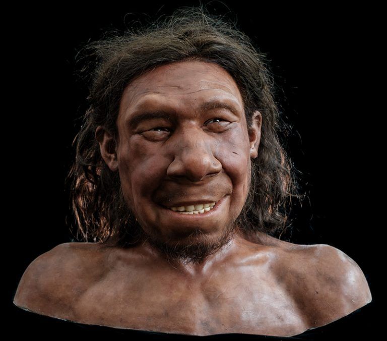 Nederlandse Neanderthaler Krijn