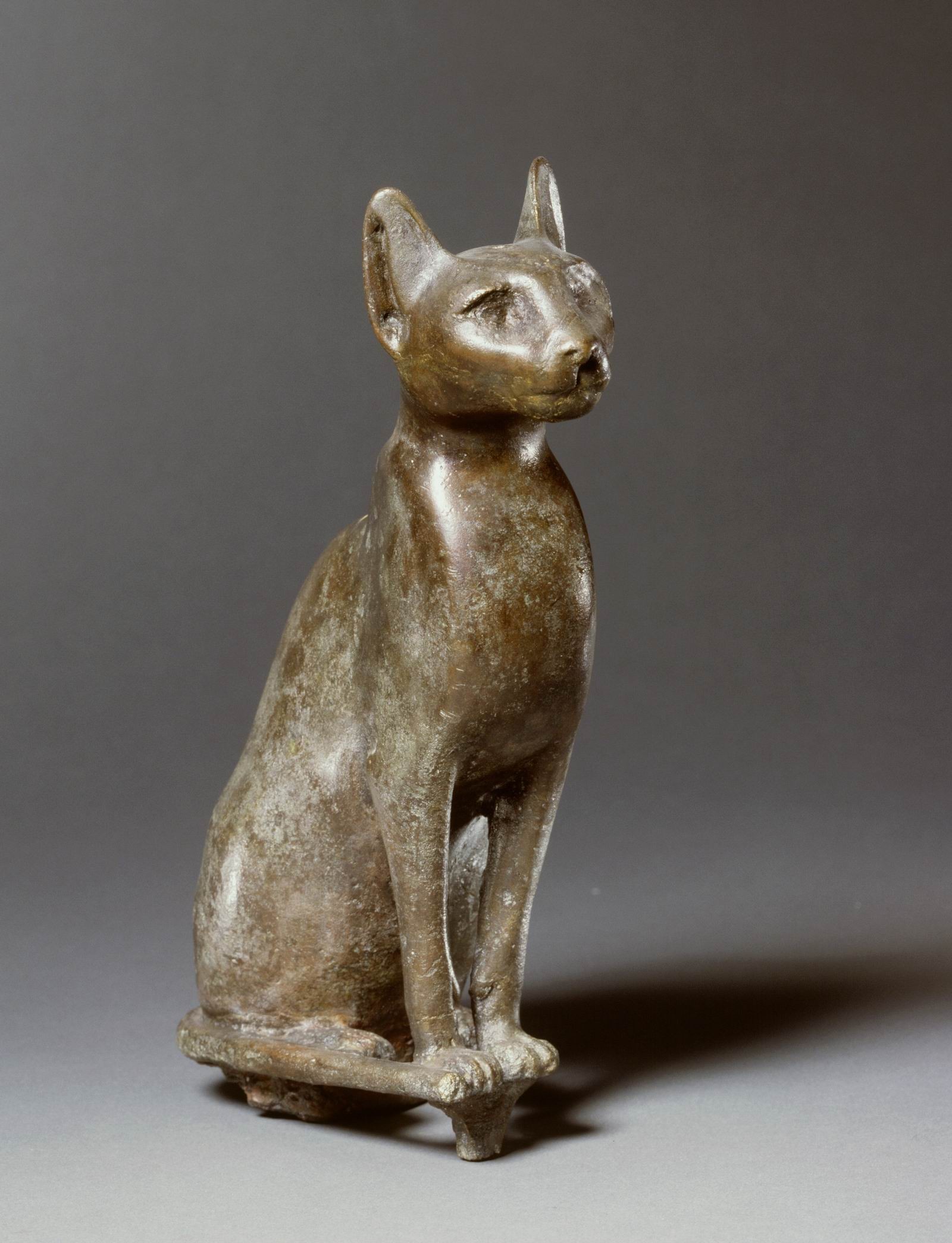 Wrijven Kracht Dominant Beeld van zittende kat | Rijksmuseum van Oudheden